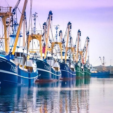 Bosruiter De Koog - Texel Villa Ngoại thất bức ảnh
